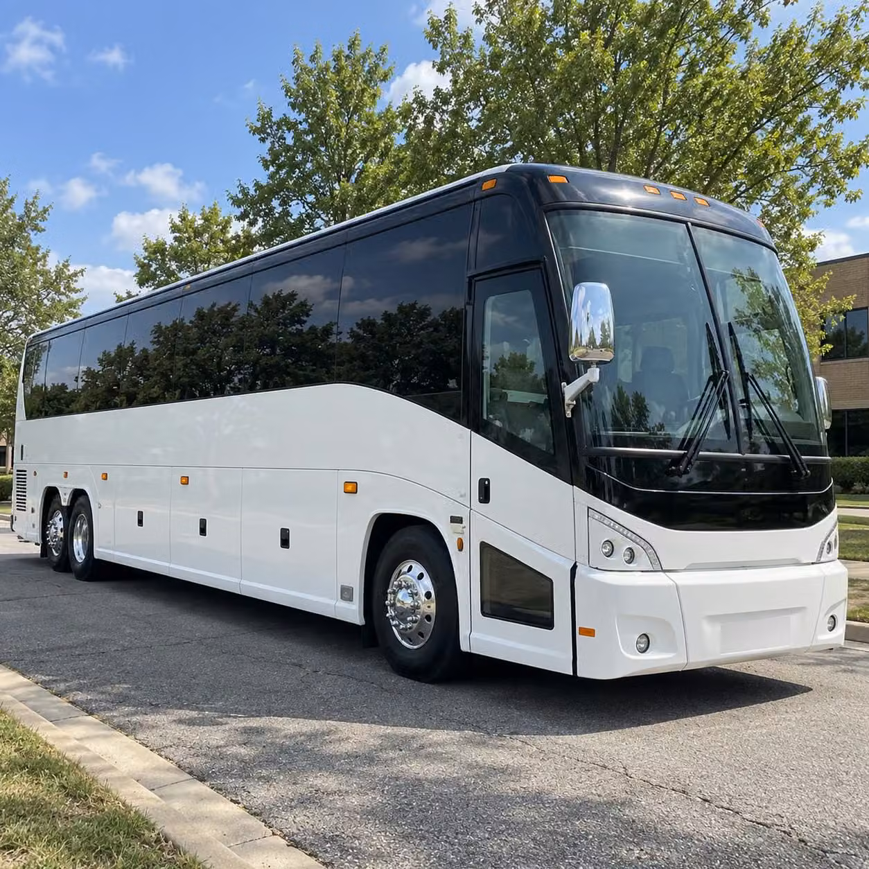 56 passenger charter bus